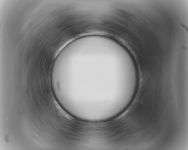 X0000103301417200808291120
