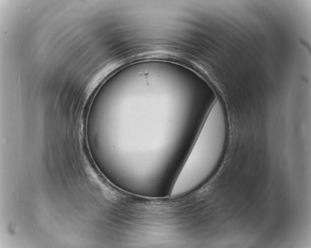 X0000103301418200808291120