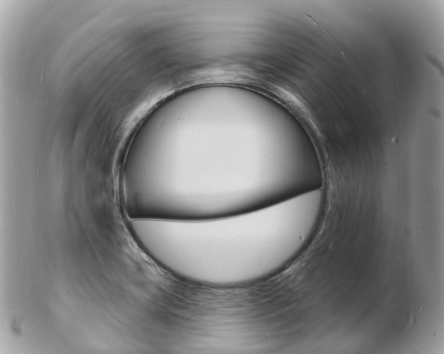 X0000103301419200808291120