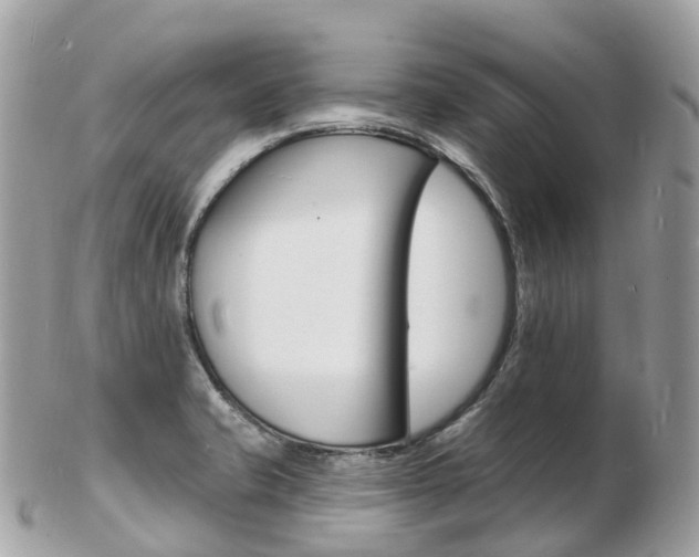 X0000103301421200808291120