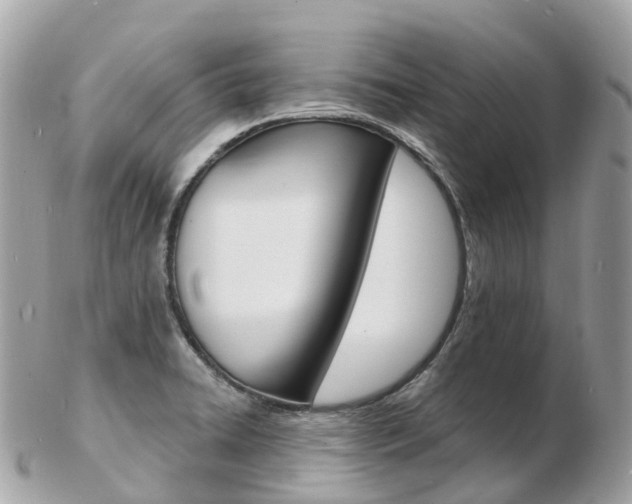 X0000103301422200808291120