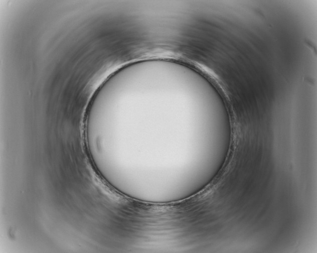 X0000103301423200808291120