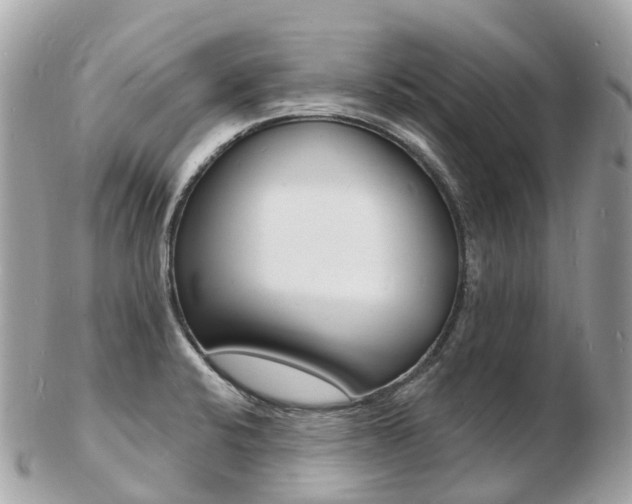 X0000103301424200808291120