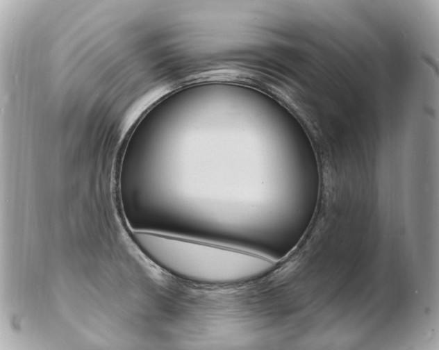 X0000103301426200808291120