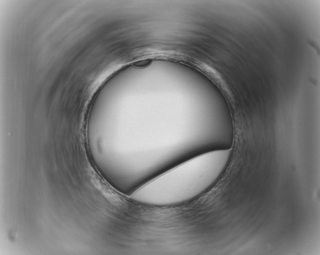 X0000103301427200808291120