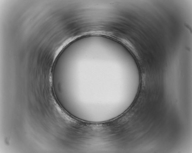 X0000103301428200808291120