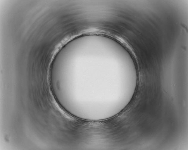 X0000103301429200808291120