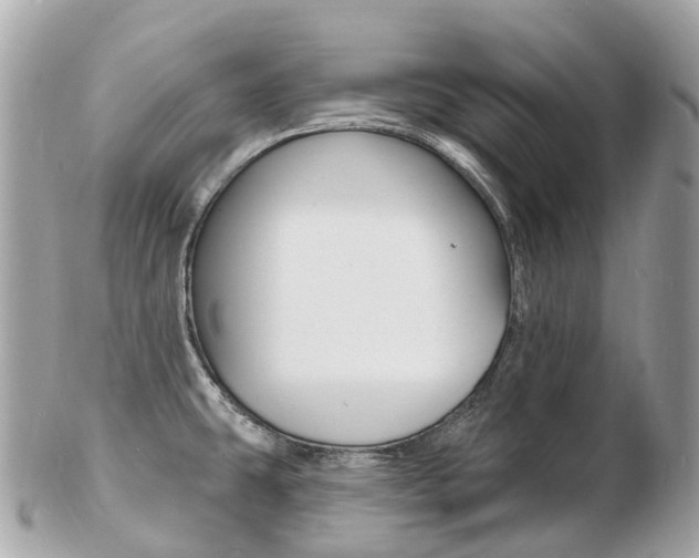 X0000103301431200808291120