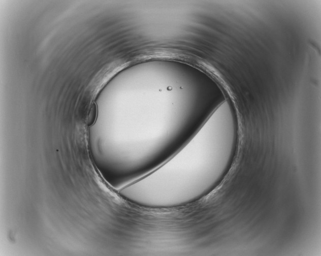 X0000103301433200808291120