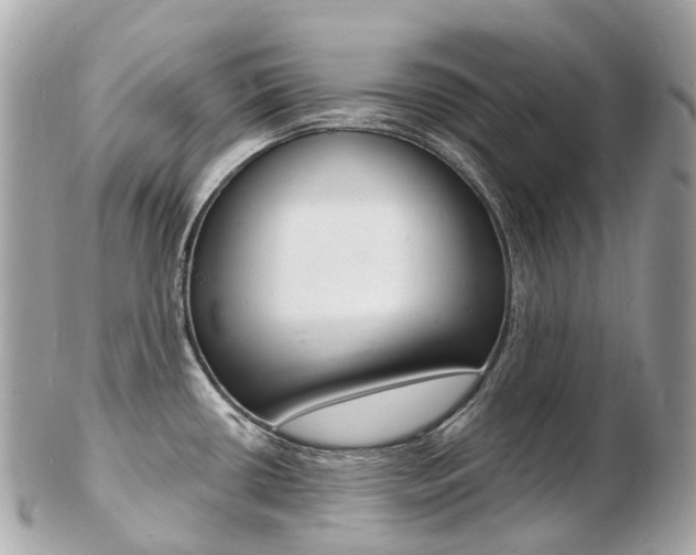 X0000103301434200808291120