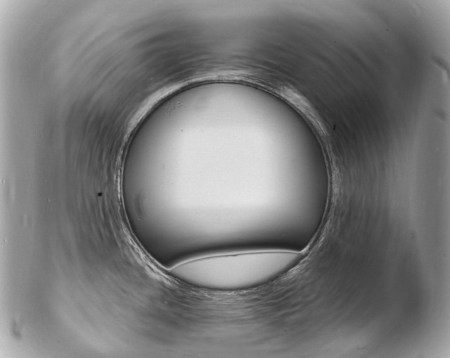 X0000103301436200808291120