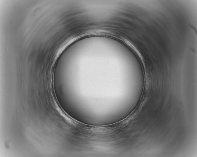 X0000103301437200808291120