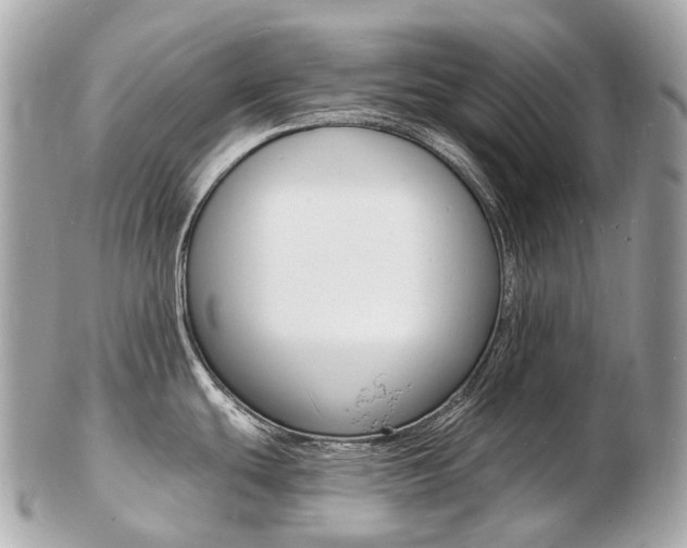 X0000103301439200808291120