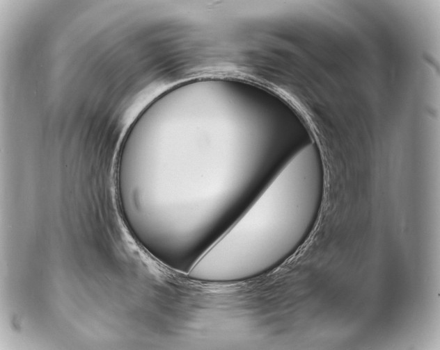 X0000103301440200808291120