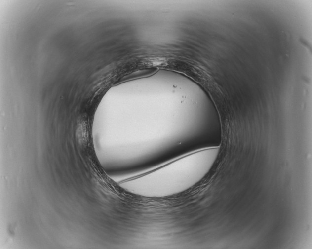 X0000103301442200808291120