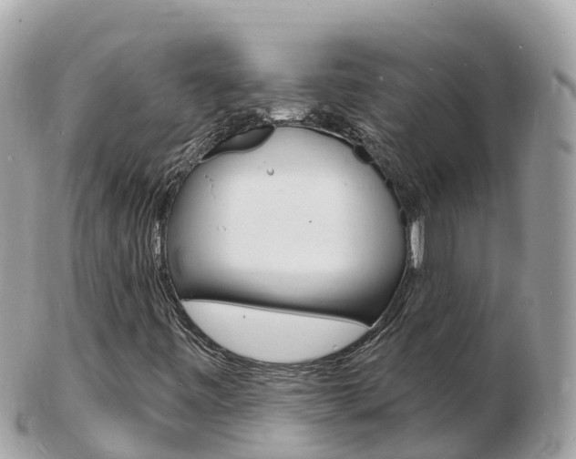 X0000103301443200808291120