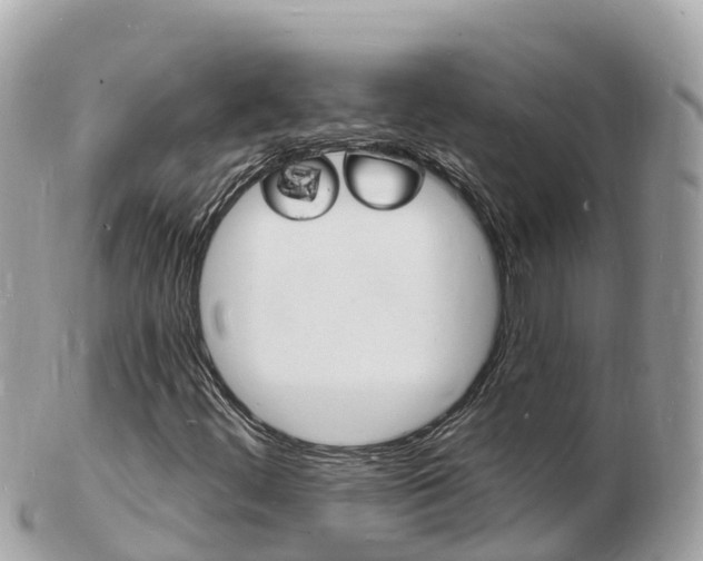 X0000103301444200808291120