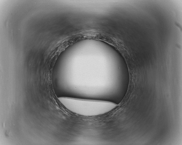 X0000103301445200808291120