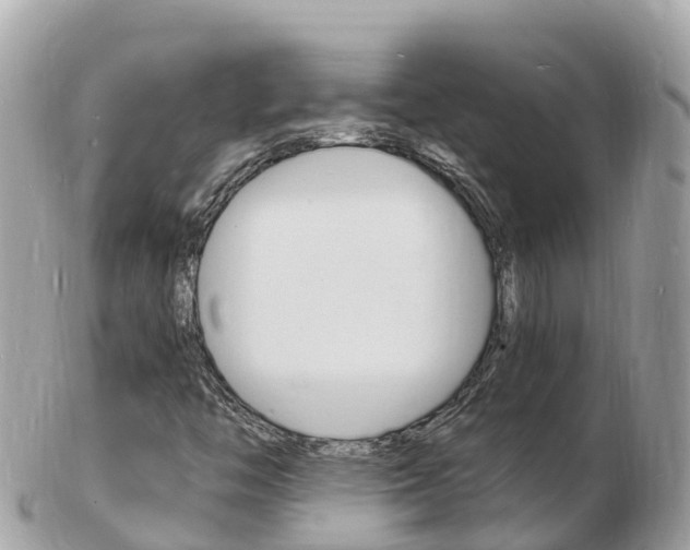 X0000103301446200808291120