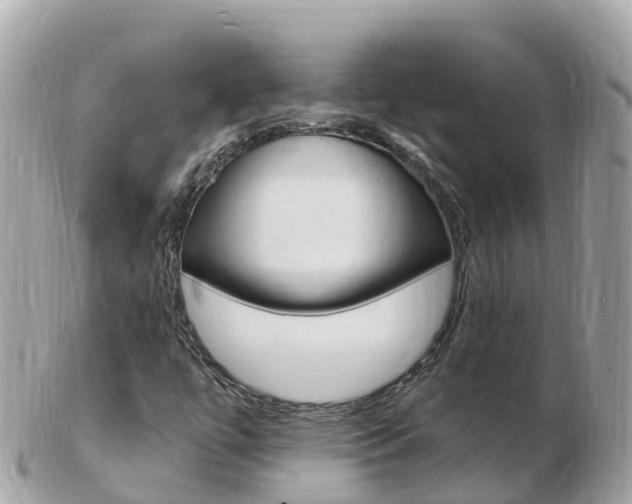 X0000103301447200808291120