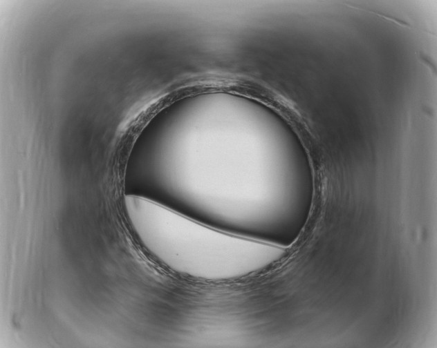 X0000103301448200808291120