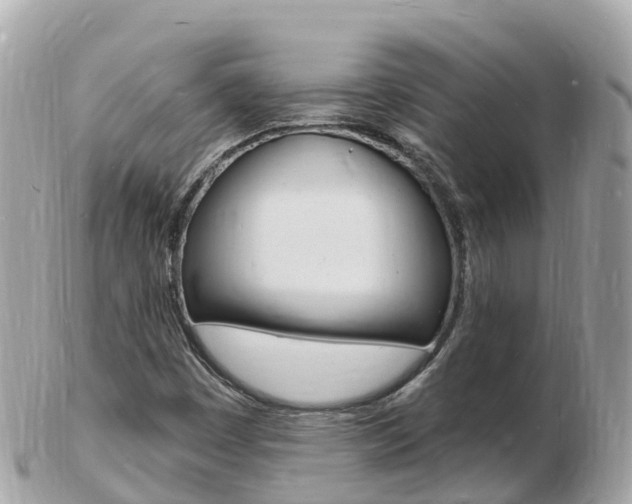 X0000103301449200808291120
