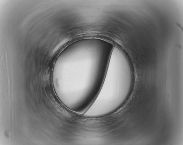 X0000103301450200808291120