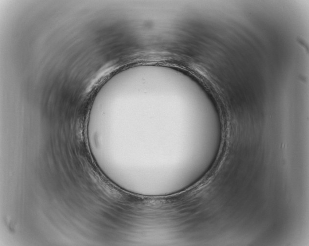 X0000103301451200808291120