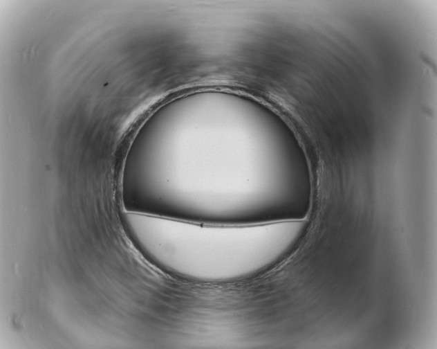 X0000103301452200808291120
