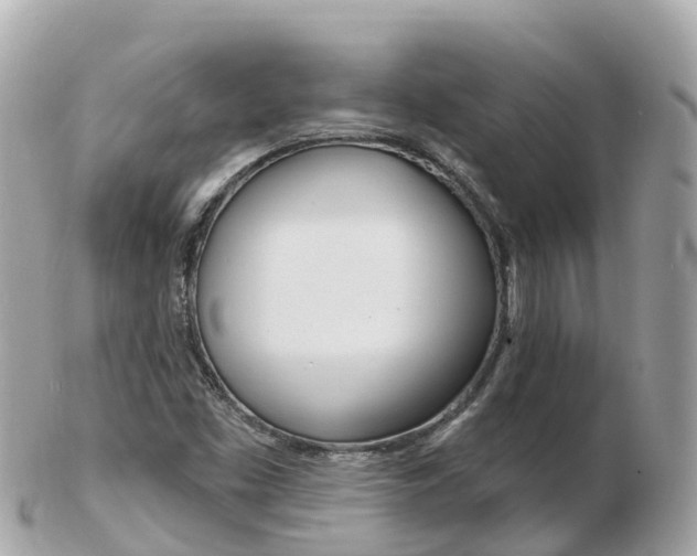 X0000103301453200808291120