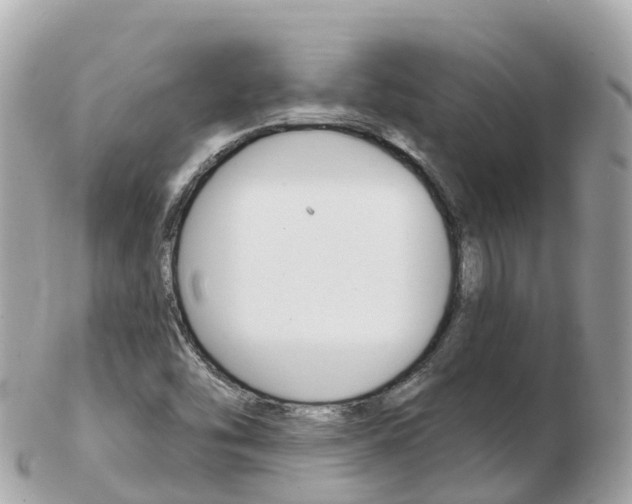 X0000103301454200808291120