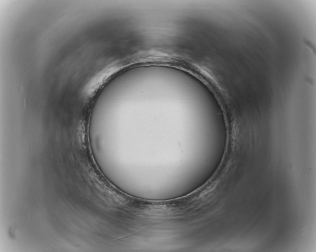 X0000103301455200808291120