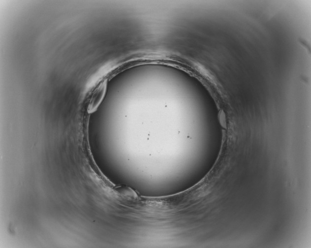 X0000103301456200808291120