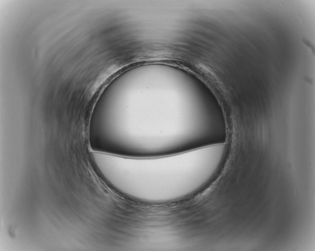 X0000103301457200808291120