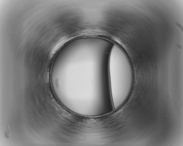 X0000103301459200808291119