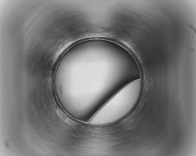 X0000103301460200808291119