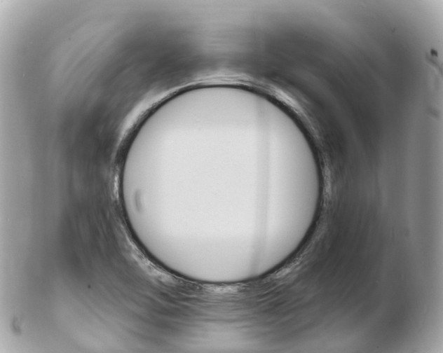 X0000103301462200808291119