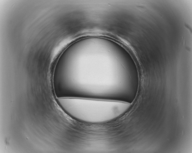 X0000103301464200808291119