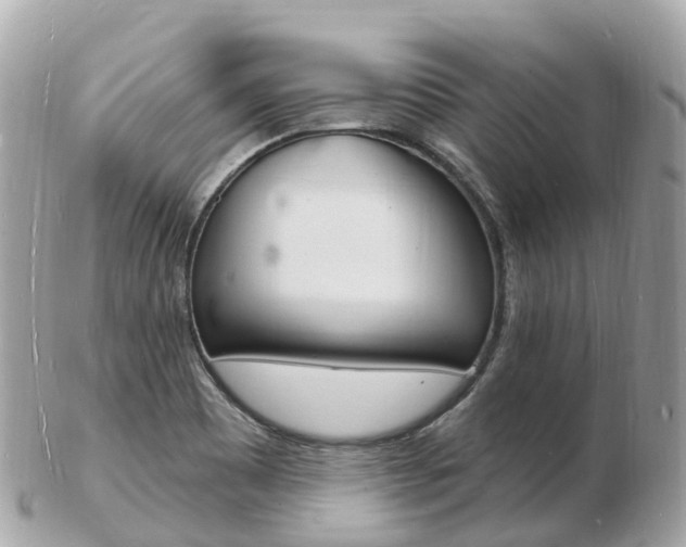 X0000103301465200808291119
