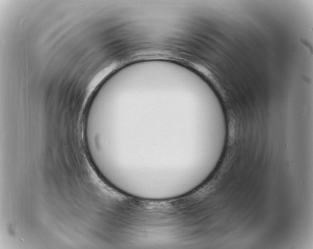 X0000103301466200808291119