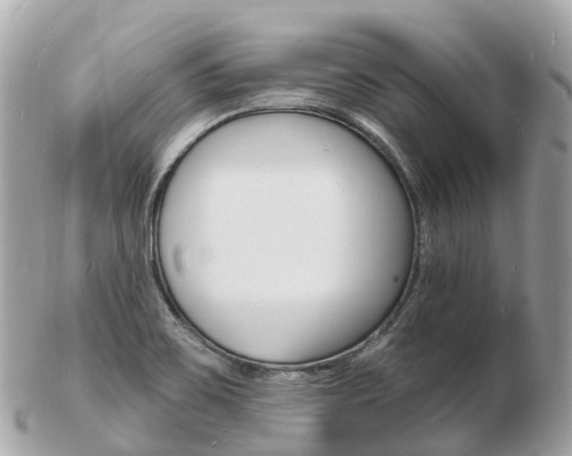 X0000103301467200808291119