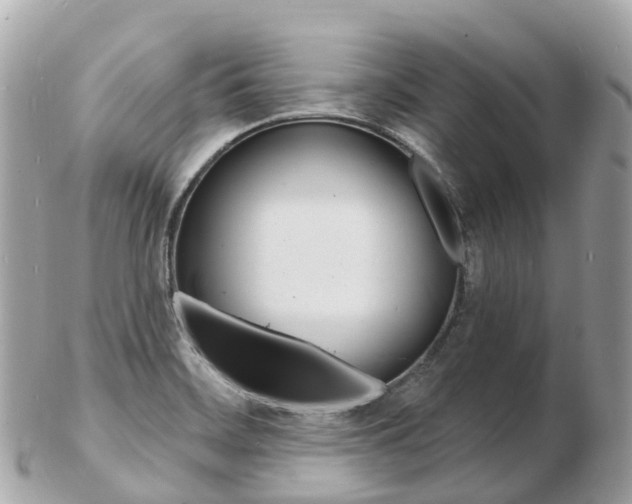 X0000103301468200808291119