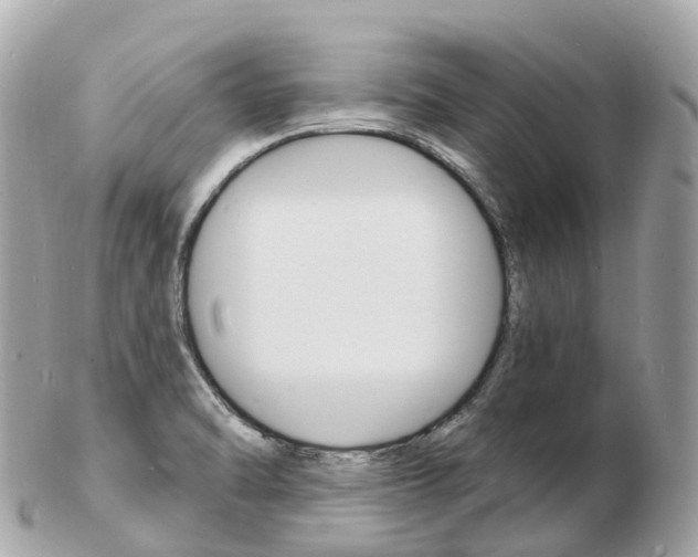 X0000103301470200808291119