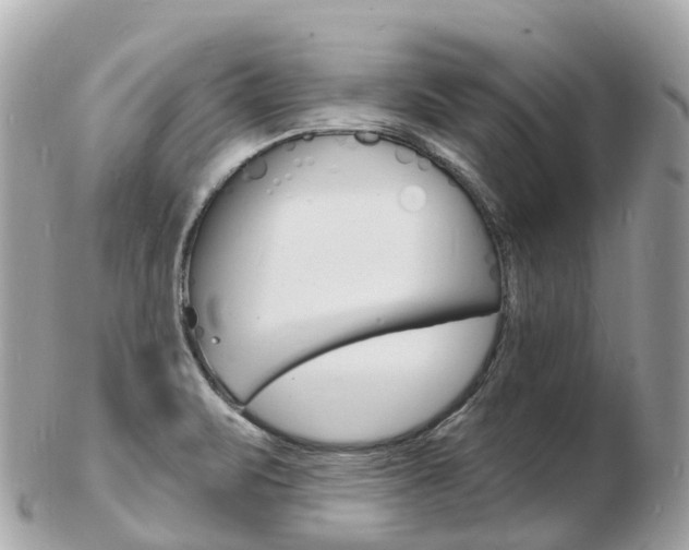 X0000103301471200808291119