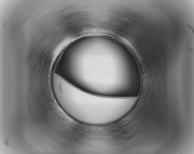 X0000103301472200808291119