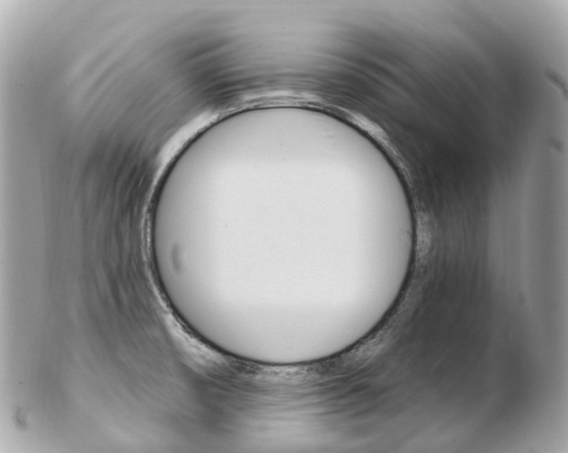 X0000103301474200808291119