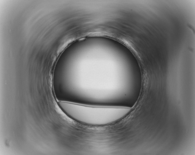 X0000103301476200808291119
