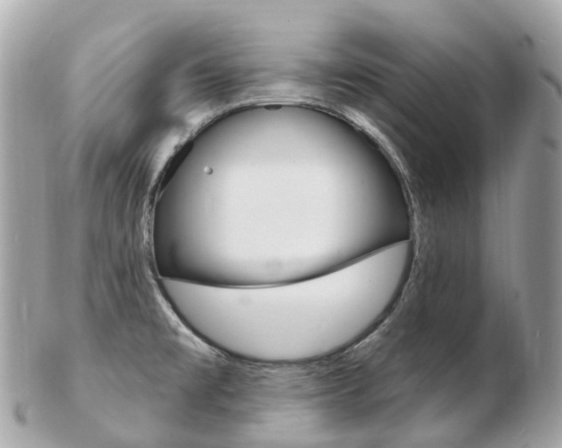 X0000103301477200808291119