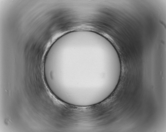 X0000103301478200808291119