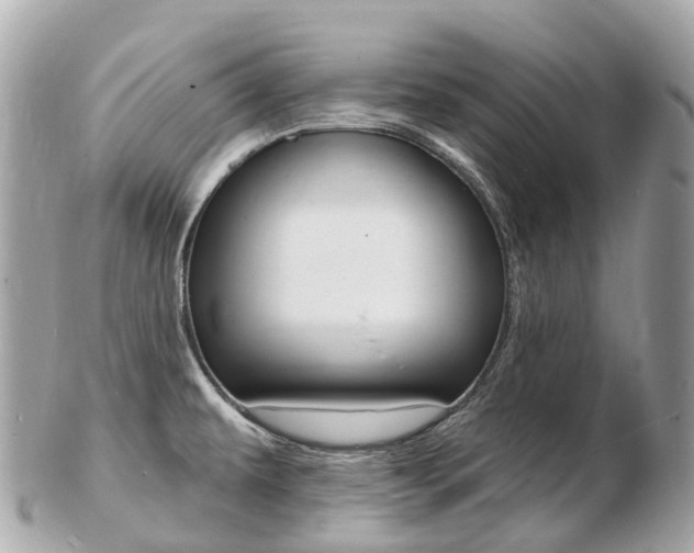 X0000103301479200808291119